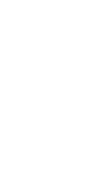 し