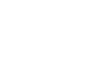アイコン：検品